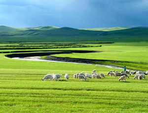 Mongolia-land Mongolia-land